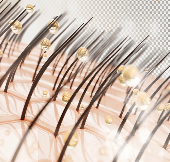 Hair transplant consultation at Sumanova